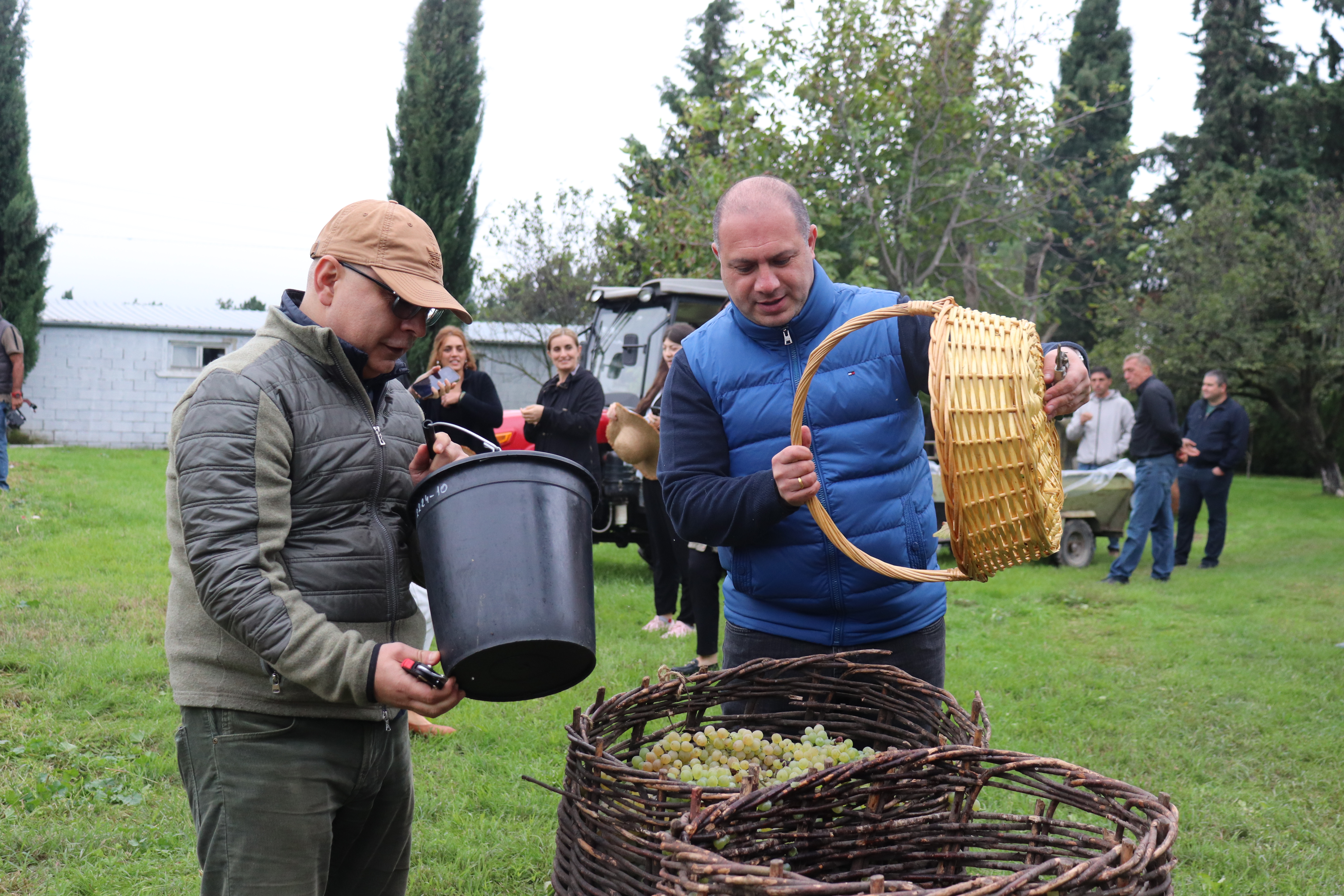 მინისტრმა გივი მიქანაძემ და მოადგილეებმა, სტუდენტებთან ერთად კოლეჯის რთველში მიიღეს მონაწილეობა