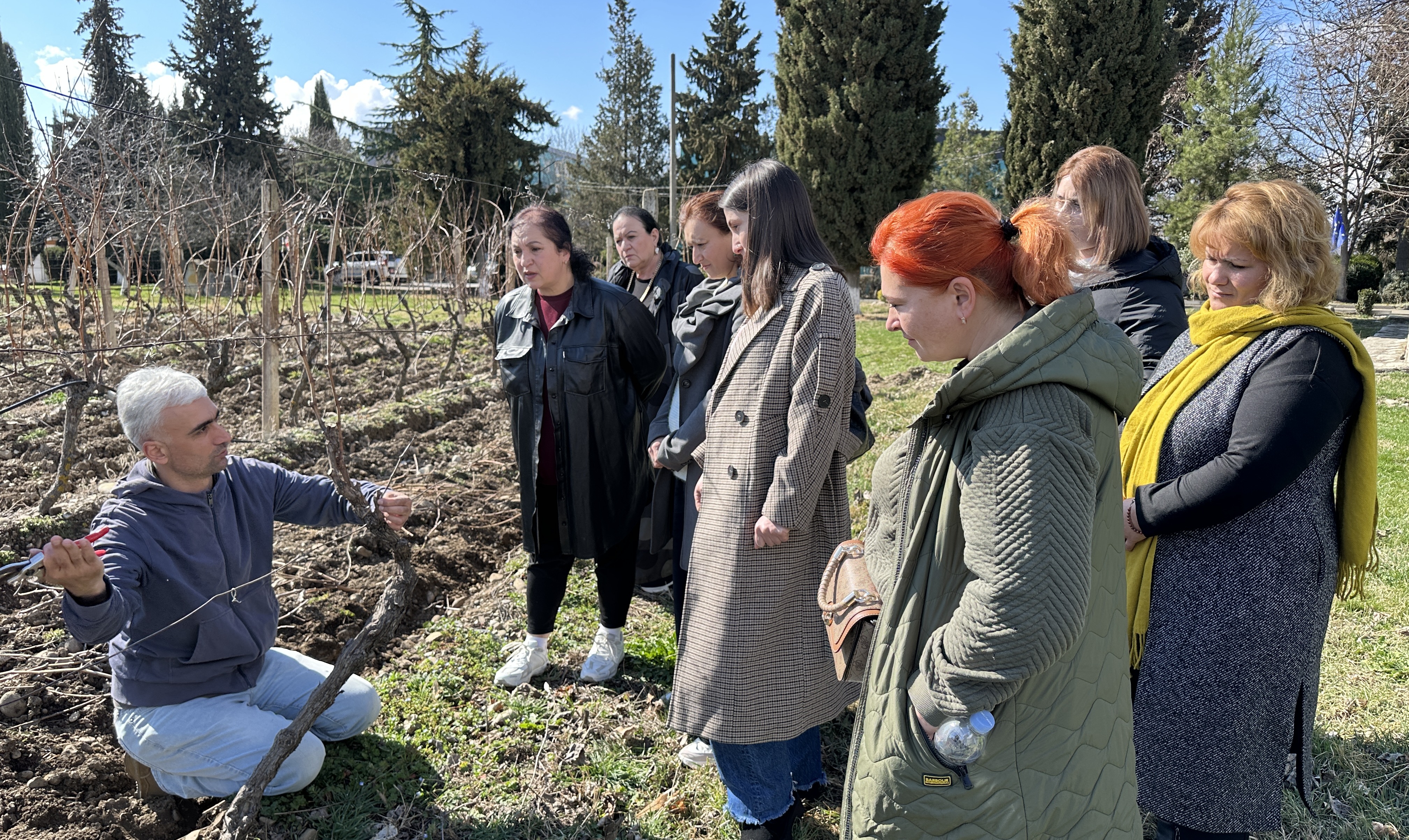 ვაზის სხვლა - ფორმირების თემაზე მევენახეობა-მეღვინეობის სტუდენტებისთვის ტრენინგი ჩატარდა